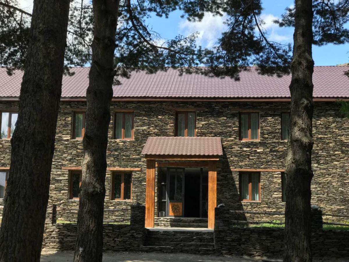 Hotel Complex Nabadi Omalo 外观 照片